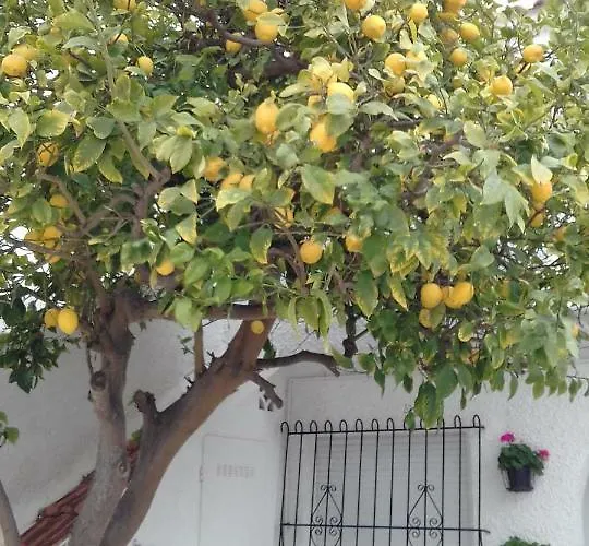 Naranja Con Piscina Urb El Paraiso