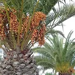 Naranja Con Piscina Urb El Paraiso Lejlighed *