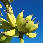 Naranja Con Piscina Urb El Paraiso * Торевьиа