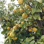 Naranja Con Piscina Urb El Paraiso Апартаменты