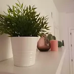 Naranja Con Piscina Urb El Paraiso Апартаменты