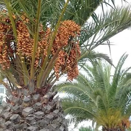 Naranja Con Piscina Urb El Paraiso Apartment *