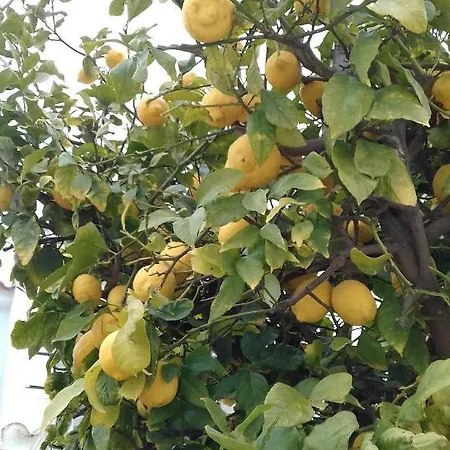 Naranja Con Piscina Urb El Paraiso Διαμέρισμα