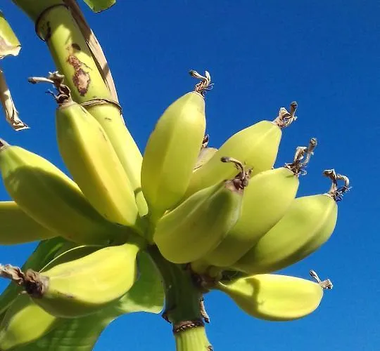 Naranja Con Piscina Urb El Paraiso * Torrevieja