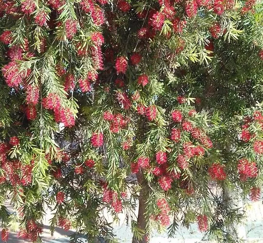 Apartman Naranja Con Piscina Urb El Paraiso Torrevieja