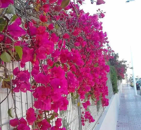Naranja Con Piscina Urb El Paraiso