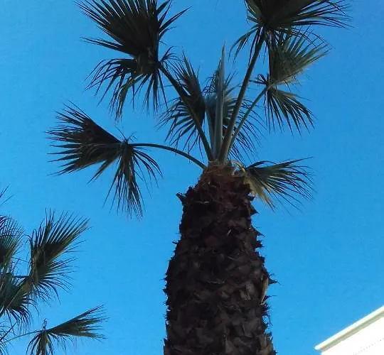 Apartman Naranja Con Piscina Urb El Paraiso